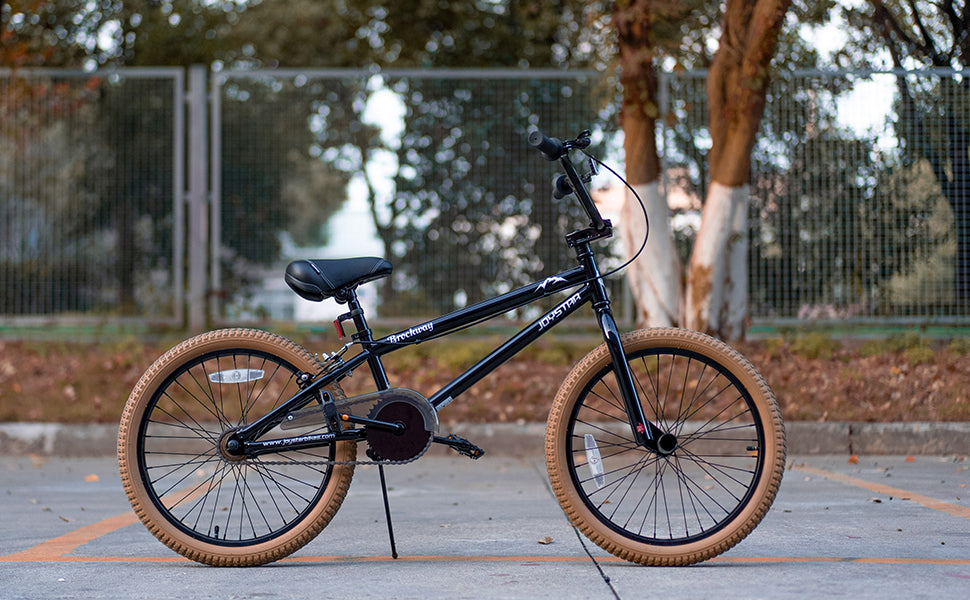 JOYSTAR Brockway Freestyle Kids BMX Bikes Kids Bicycles for 6-14 Years Old Boys Girls and Beginner-Level Riders 2 Pegs